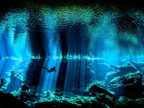 The Spectacular Beauty Hidden Beneath the Surface