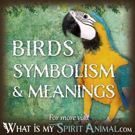 The Strength and Might Associated with the Symbolism of Majestic Birds