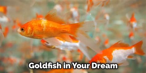 The Symbolic Interpretation of Ending Goldfish's Lives in Dreams