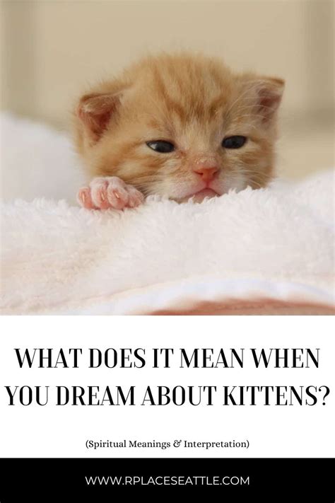 The Symbolic Meaning Behind Kittens in Dreams