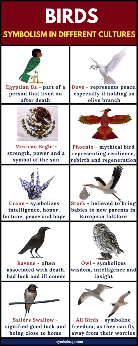 The Symbolic Meaning of Avian Creatures in One's Dreams