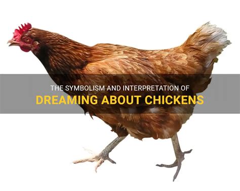 The Symbolic Meaning of Chickens in Full Flight in Our Dreams