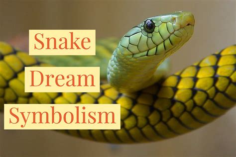 The Symbolic Meaning of Nourishing Serpent in Dreams