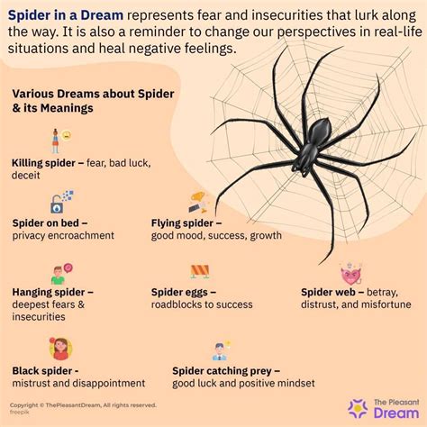 The Symbolic Meaning of Spiders in Dreams