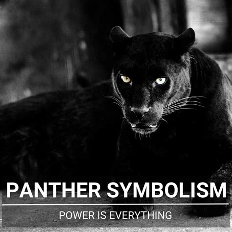 The Symbolic Meaning of the Panther in Spiritual Dreams