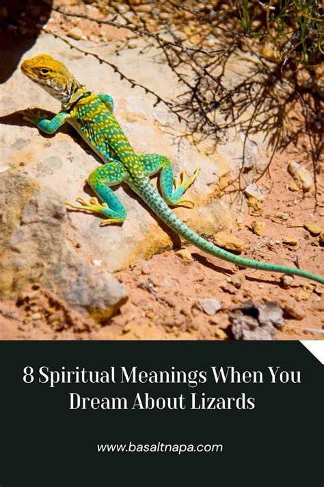 The Symbolic Meanings of Lizards in Spiritual Dream Interpretations