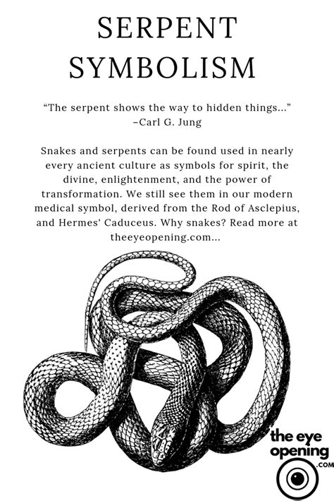 The Symbolic Representation of Serpents in One's Subconscious Fantasies