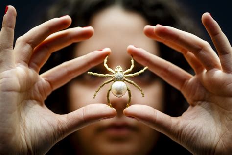 The Symbolic Significance of Arachnids in Dreams