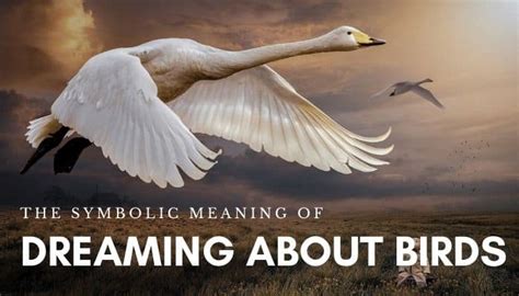 The Symbolic Significance of Dreaming About Lifeless Birds