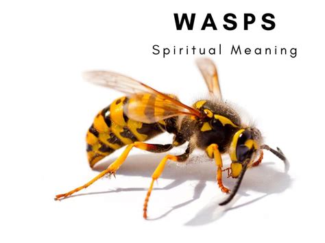 The Symbolic Significance of Dreaming About Wasps in Your Palm