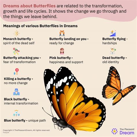 The Symbolic Significance of Dreaming of Abundant Butterflies