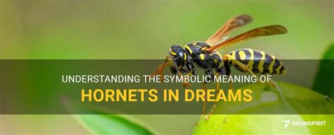 The Symbolic Significance of a Hornet in Dreams