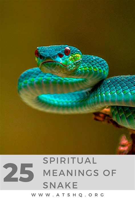 The Symbolic Significance of a Verdant Serpent in One's Dreams
