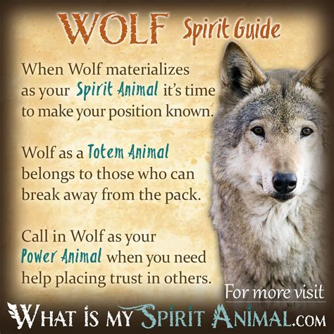 The Symbolic Significance of the Gray Wolf in Indigenous Cultures