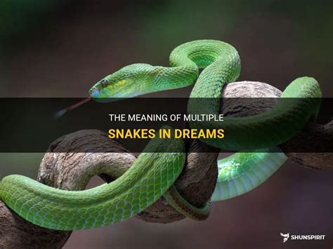 The Symbolism of Dreams with Multiples Reptiles