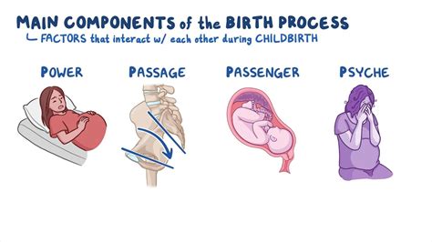 The Symbolism of the Birthing Process in Dreams