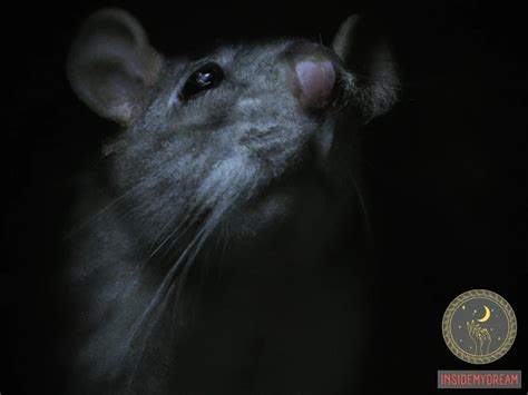 The Symbolism of the Ivory Rat: Gaining Insight through Dream Analysis