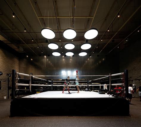 The Thrill of Stepping into the Boxing Arena