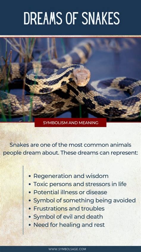 The Varied Interpretations of Snake Dreams in Polluted Water across Different Cultures
