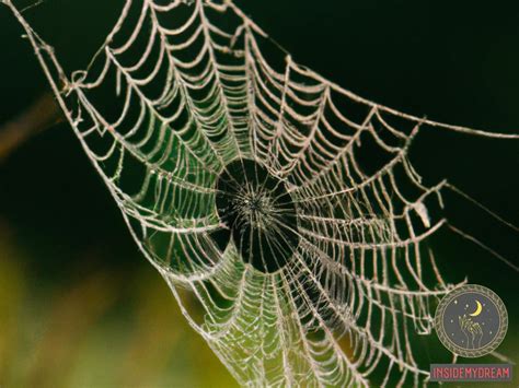 The Weaving Web: Unraveling the Meaning of Spider Webs in Dream Symbolism