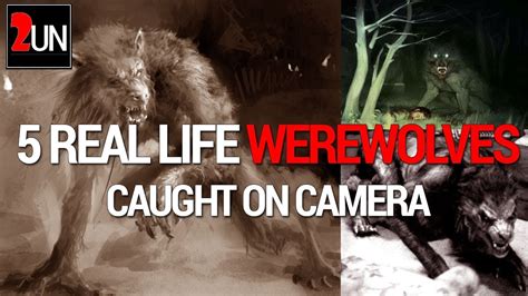 The Werewolf Phenomenon: Myth or Reality?