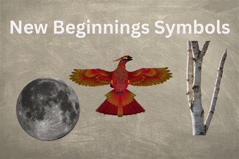 The White Owl: A Symbol of Transformation and New Beginnings