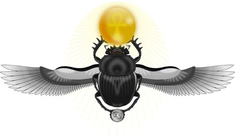 The scarab beetle as a symbol of creation and rebirth