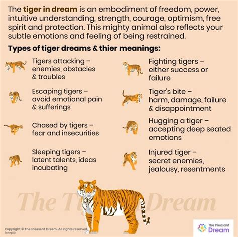 Tigers in Dreams: Revealing the Symbolic Significance