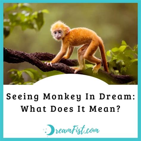 Tips for Decoding and Interpreting Monkey Reveries