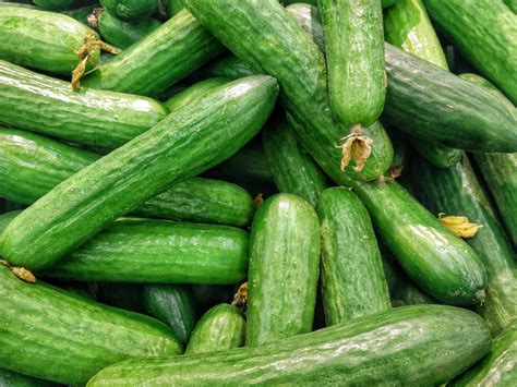 Tips for Discovering the Finest Cucumbers