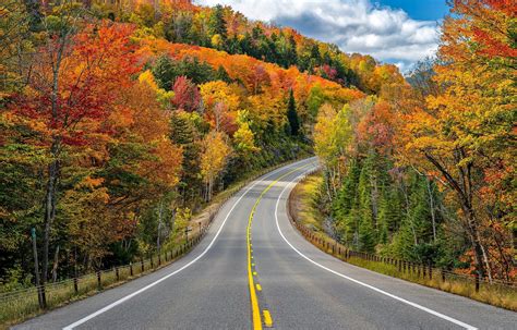 Tips for an Unforgettable Journey on the Open Road