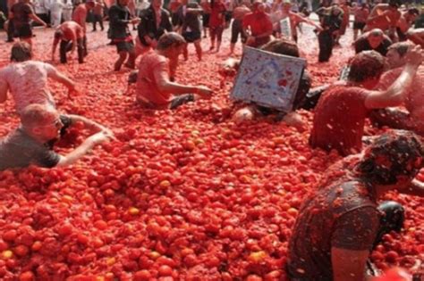 Tomato Festivals Around the World: Celebrating the Symbolism and Cultural Significance