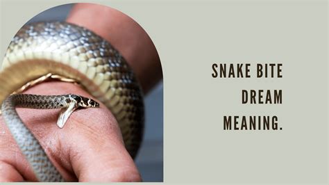 Transformative Experiences: Exploring the Symbolism of Snake Bite Dreams