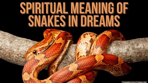 Uncovering the Psychological Connections of Serpents in Dream Symbolism