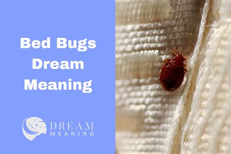 Uncovering the Symbolism: Bugs in Dreams