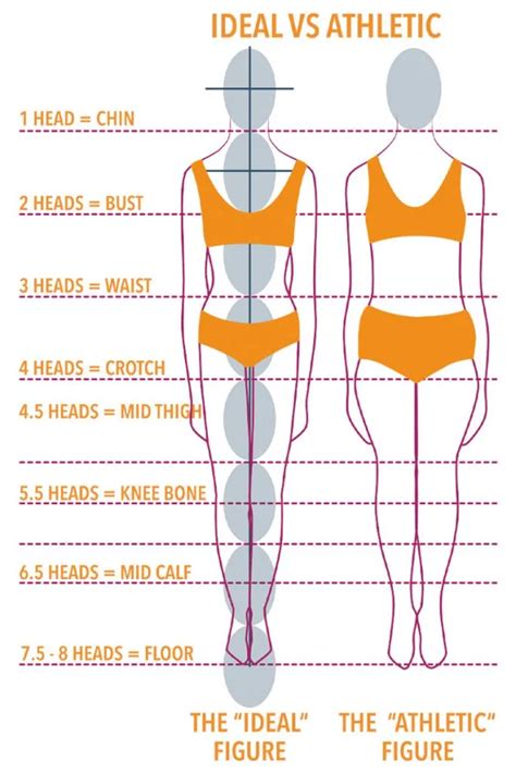 Understanding Abby Lexus's Body Proportions