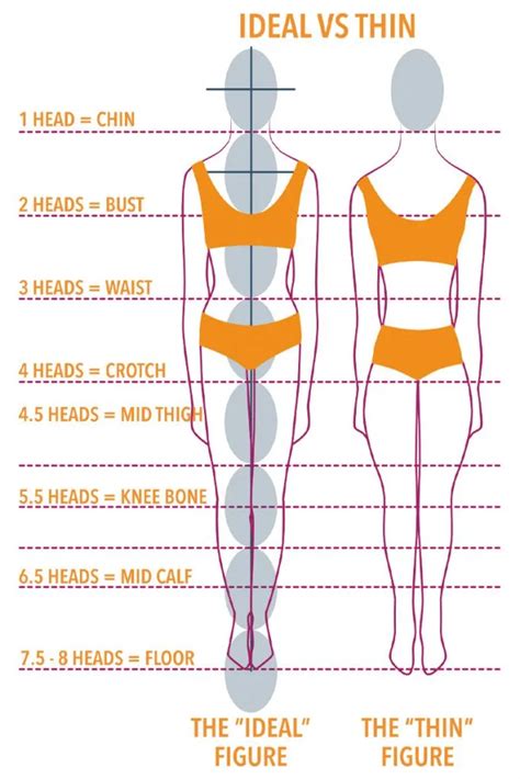 Understanding Beisy's body shape and proportions