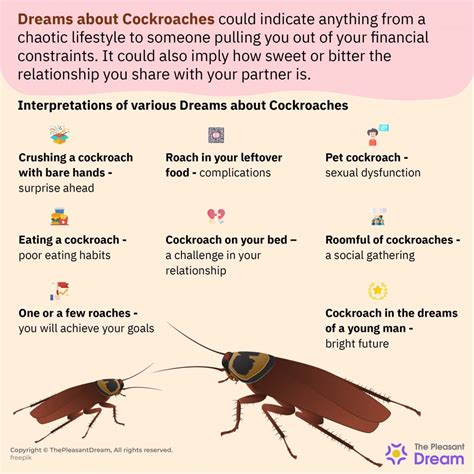 Understanding Common Dream Symbols: The Cockroach