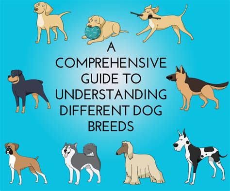 Understanding Different Breeds: