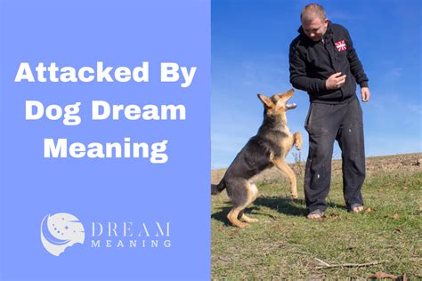 Understanding Dreams of Being Attacked by Animals