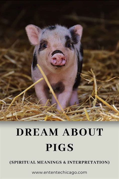 Understanding Your Dream: An Overweight Swine in Interpretation