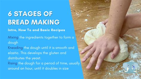 Understanding the Bread-making Process