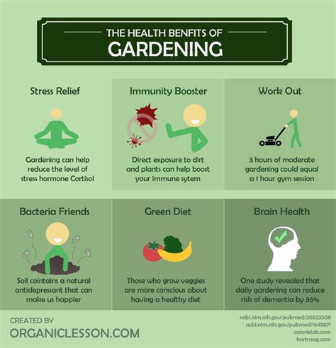 Understanding the Condition of Your Garden