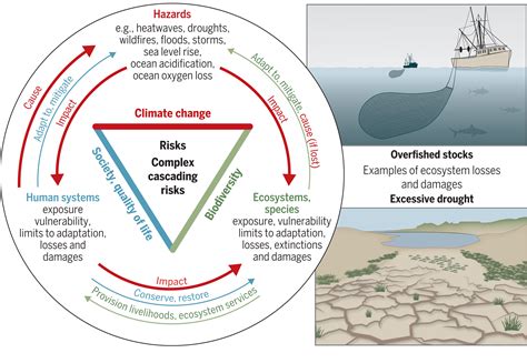 Understanding the Connection Between Climate Crisis and Loss of Habitat