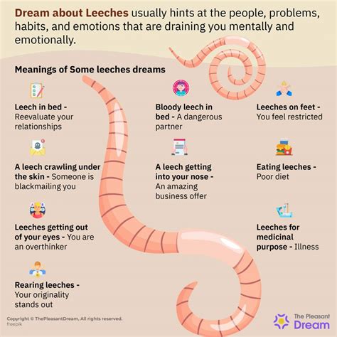 Understanding the Connection Between Leeches on Face Dreams and Emotional Drain