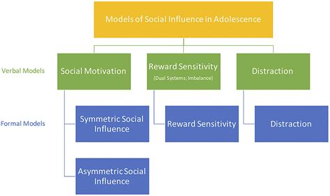 Understanding the Influence of Ambitions on the Decision-Making Process of Adolescent Students