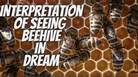 Understanding the Psychological Interpretation of Dreaming about a Beehive