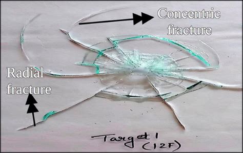 Understanding the Psychological Significance of Fractured Glass Reveries