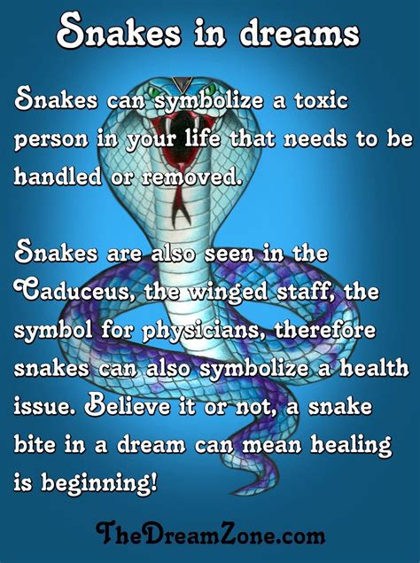 Understanding the Psychological Significance of Serpent Ingestion Dreams