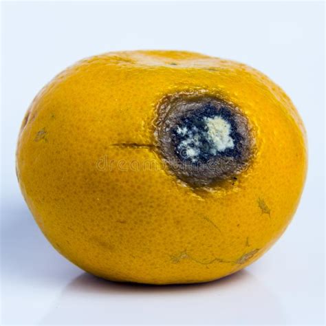 Understanding the Symbolic Messages of Dreams Involving Decayed Citrus